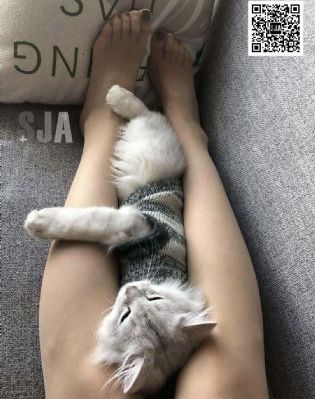 亚洲午夜精品久久_1080在线视频播放